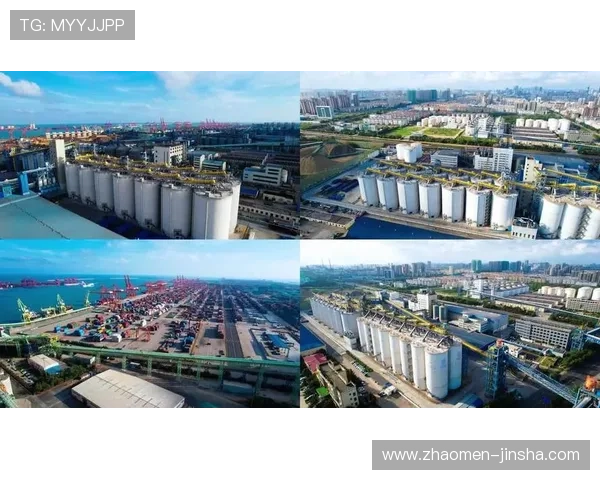 金沙入口粮库最新版下载官方正版,保障软件安全与使用稳定性 金沙入口粮库最新版下载官方正版,保障软件安全与使用稳定性