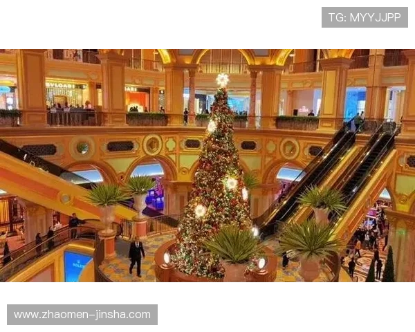 澳门金沙娱乐场所最新攻略，带你探索最热门的娱乐项目与优惠活动