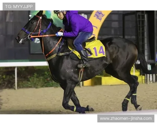 澳门赛马日精彩赛事全攻略助你轻松掌握赛马最新动态与投注技巧